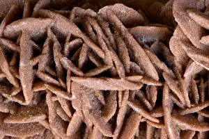 Algeria: Selenite - 'Desert Rose'