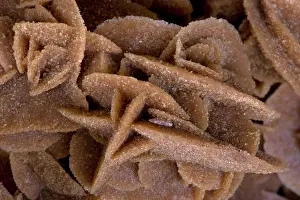Algeria: Selenite - 'Desert Rose'