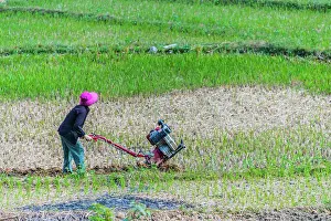Poverty: Self-sufficient labor-intensive farming in Ha Giang