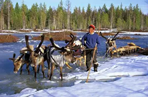 Sledging: Selkup man with reindeer-sledge, Siberia