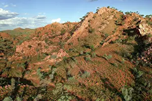 60km: Selwyn Range.Bushy Park Cattle Station, 60km south