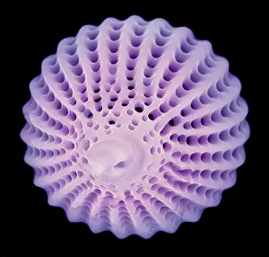 Cell: SEM Radiolaria