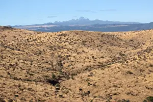 Scrub: Semi arid scrub, with Mount Kenya fin background