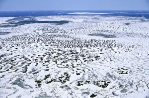 Evironment: Semi-tundra aerial, North Siberia