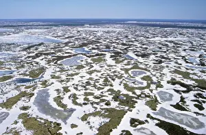 Evironment: Semi-tundra aerial, North Siberia