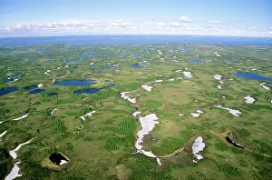 Helicopter: Semi-tundra - aerial view from a helicopter