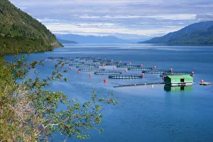 Larger: Seno Ventisquero Fish Farm - a calm fjord arm which