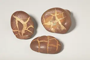 Spheres: Septarian Nodule