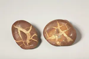 Spheres: Septarian Nodule