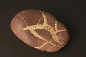 Spheres: Septarian Nodule