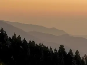 Sheppard: Sequoia National Park, California