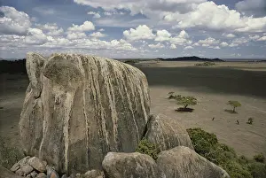Intrusion: Serengeti Rock Outcrop