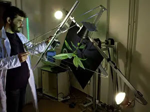 Rotation: Serge Douady using a Clinostat during the day -