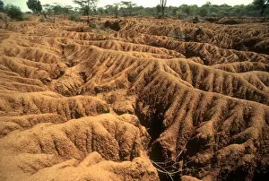121217: Seriously degraded denuded land following serious