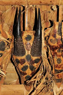 Quang: Serow skulls