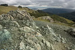 Serpentine: Serpentine outcrop on Mount Tamalpais (mt. Tam)