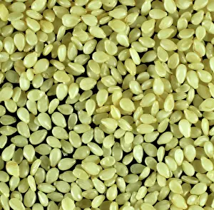 Prepared: Sesame seed