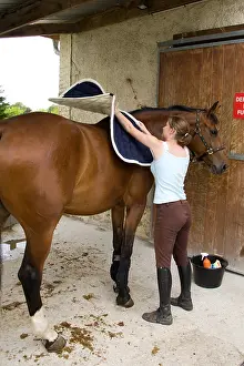 Defended: Setting up the saddle blanket on the back of a horse France