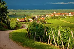 Vins: Setting sunlight on the vineyards of the