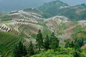 Composite: Seven Stars and Moon viewpoint, Dragon's