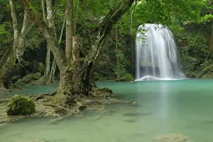 Monsoon: Seven Step Waterfall - monsoon forest