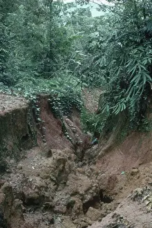 Poor: Severe Gully Erosion