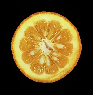 Sour: Seville Orange