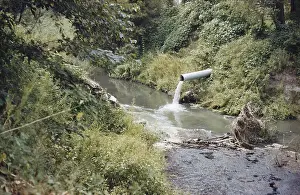 Drainage: Sewage Draining into Creek