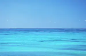 Assumption: Seychelles - Assumption Island