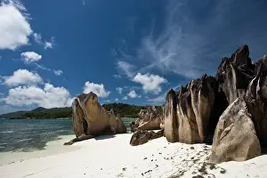 Curieuse: Seychelles, Curieuse Island, Giant Tortoise
