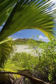 Curieuse: Seychelles, Curieuse Island, Laraie Bay
