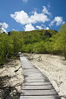 Curieuse: Seychelles, Curieuse Island, marsh walkway