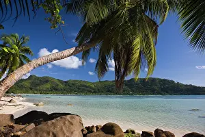 Mahe: Seychelles, Mahe Island, Anse a la Mouche