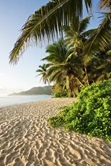 Mahe: Seychelles, Mahe Island, Anse Marie-Louise
