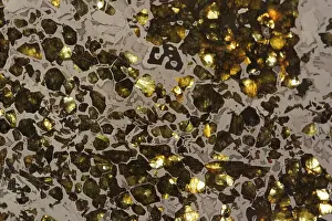 Meteorite: Seymchan Meteorite