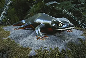 Replica: Seymouria