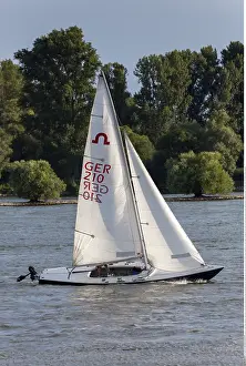 Rhein: SG, S, Sport, Segelboot auf dem Rhein vor R??desheim