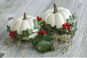 Schweiz: SG W, Weihnachten, Herbstdekoration - Christmas