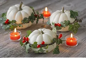 Schweiz: SG W, Weihnachten, Herbstdekoration - Christmas