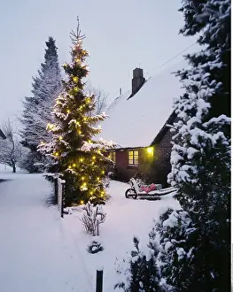 051218: SG W, Weihnachten, Weihnachtsb&x4d6d;e, Weihnachtsbaum