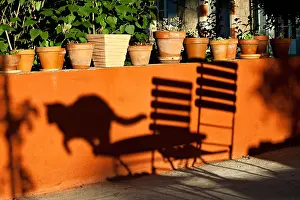 Tables: Shadow of a jumping cat from a table against an ochre wall
