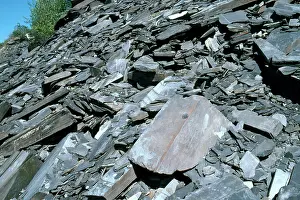 Shale: Shale