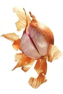 Onions: Shallot