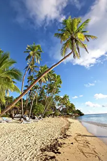 Shangri: Shangri-la Fijian Resort and Spa, Coral