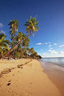 Shangri: Shangri-la Fijian Resort and Spa, Coral