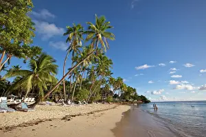 Shangri: Shangri-la Fijian Resort and Spa, Coral