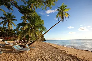 Shangri: Shangri-la Fijian Resort and Spa, Coral