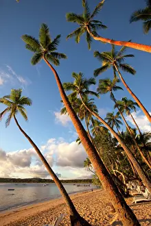 Shangri: Shangri-la Fijian Resort and Spa, Coral