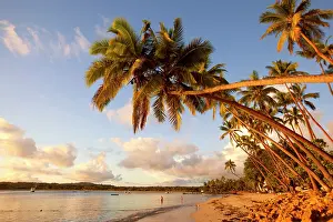 Shangri: Shangri-la Fijian Resort and Spa, Coral
