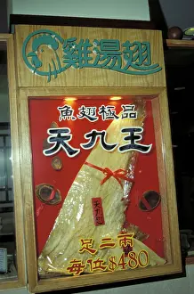 Hong: Shark Fin - Hong Kong Market